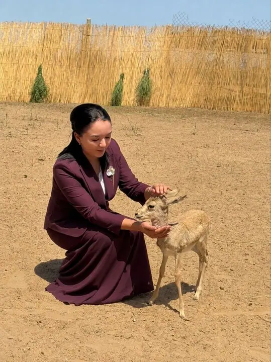 Buxoro viloyati
